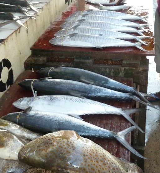 Market - Dar es Salaam