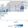 Octopus landings in 2024 based on data collected through the Record Your Catch App for under 10m vessels.